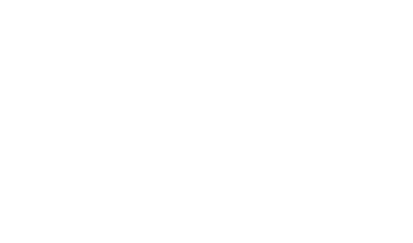 PX Digital Studio
